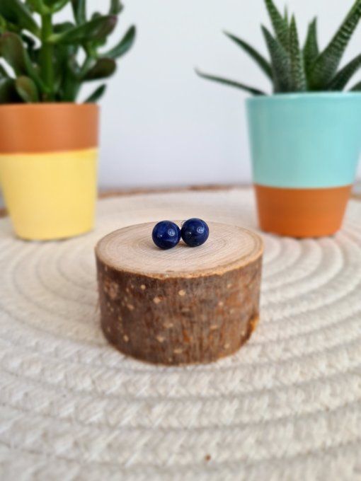 Boucles d'Oreilles puce en Sodalite