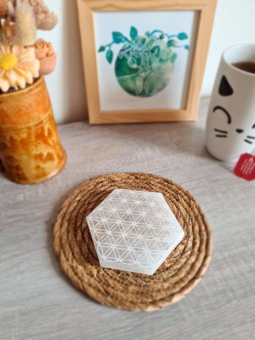 Plaque Rechargement Hexagonale Fleurs de Vie Sélénite
