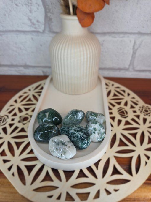 Agate Arbre