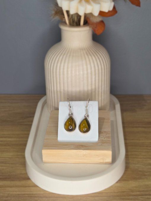 Boucles d’oreilles Œil de Tigre – Argent 925
