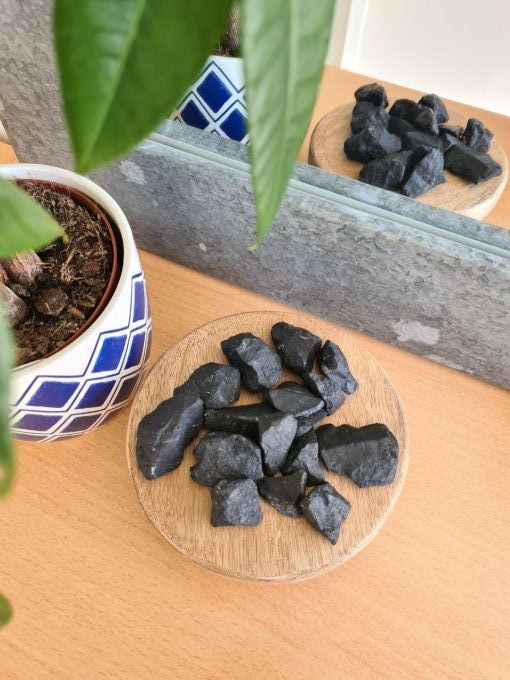Shungite